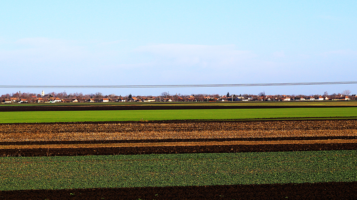 Hamis Panoráma