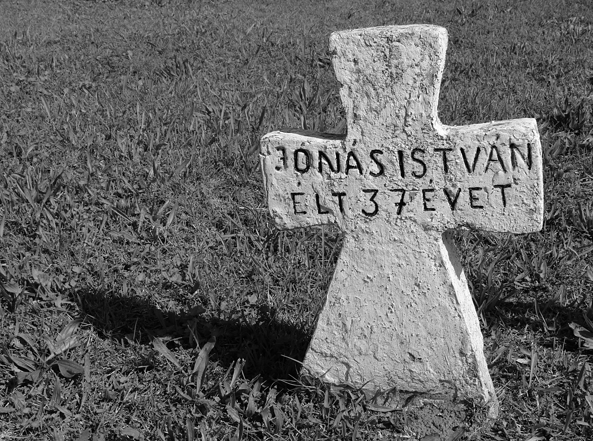 Jónás István emlékére