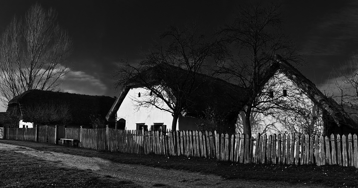 Elárvult pad