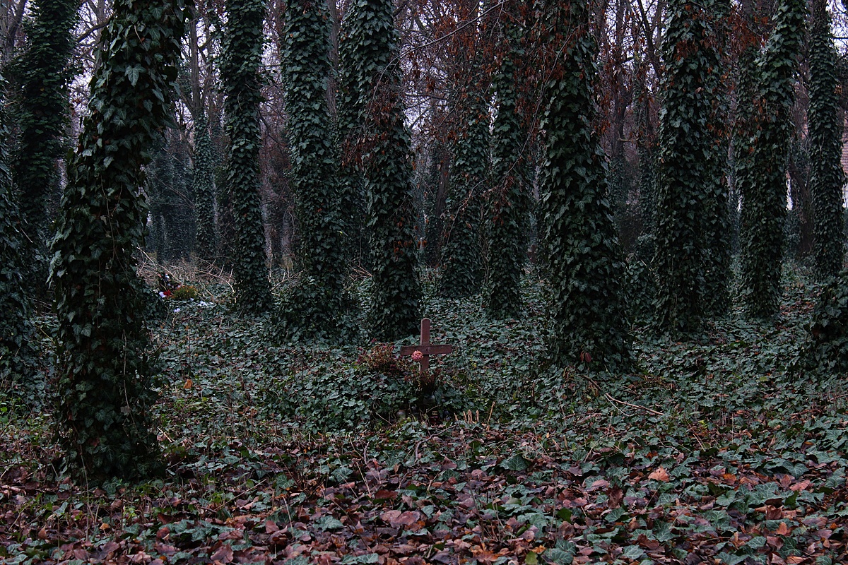 Televény