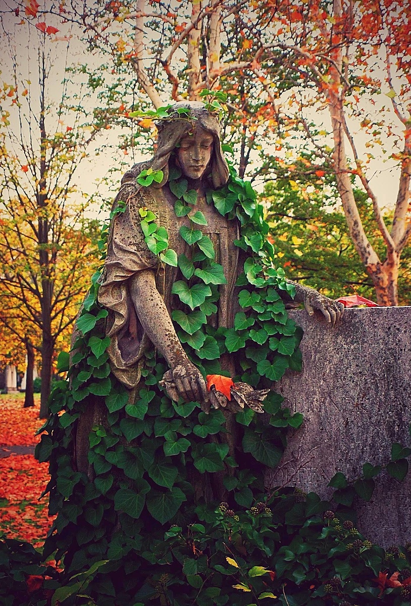 "Ifjú valék, aki arra ébred, hogy aggastyán, sőt már síremlékét is belepte borostyán." (Petri György