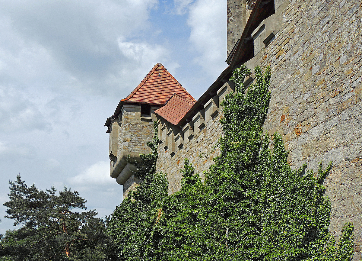 A természet ostroma