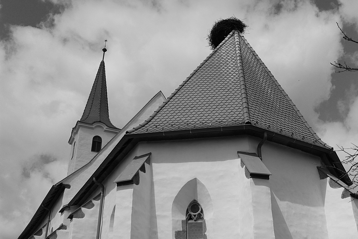 Református gólyfészek