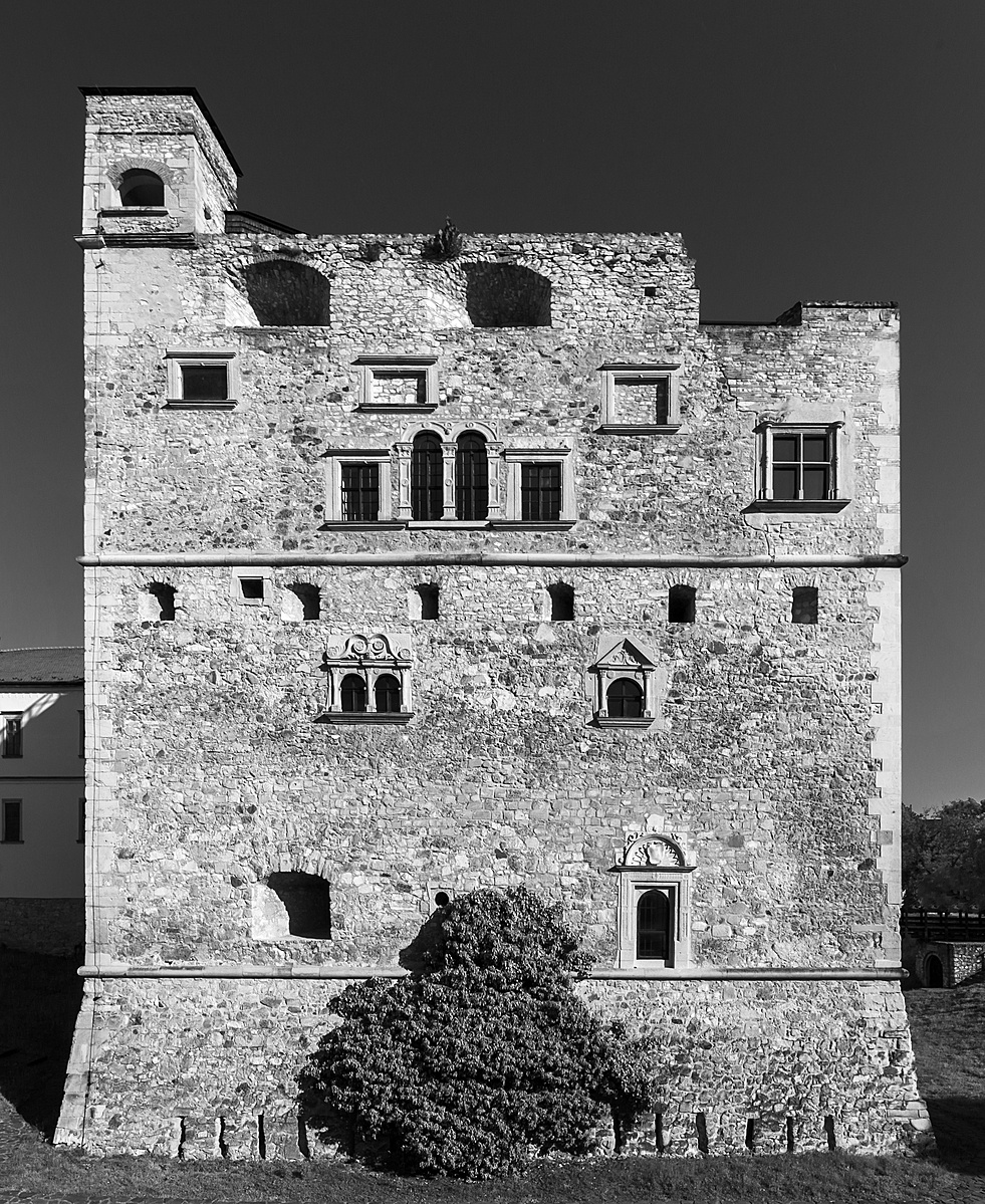 Toronymaximál