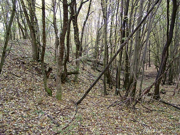 Erődítésrendszer