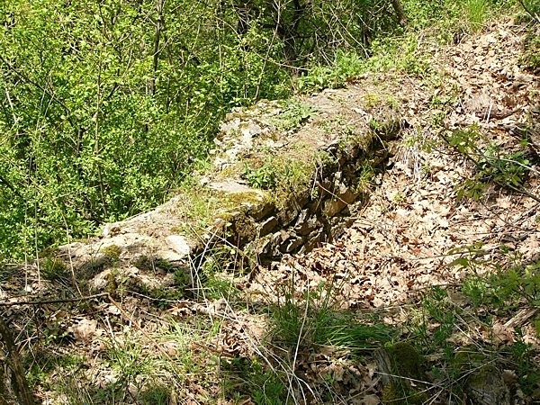 Riesenberg