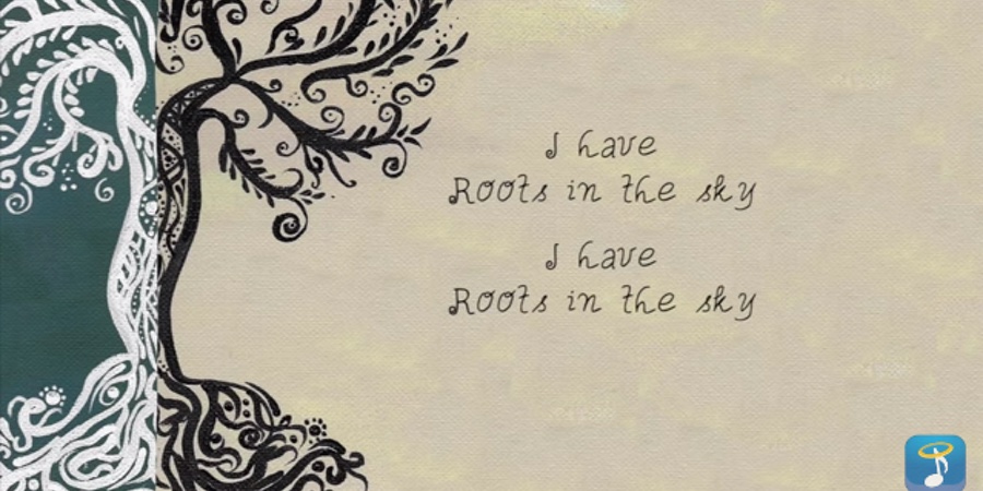 Dimy “Roots In The Sky” | Single Premiere Dimy “Roots In The Sky” | Single Premiere