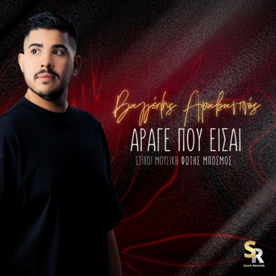 Vaggelis Aravantinos-Arage poy eisai