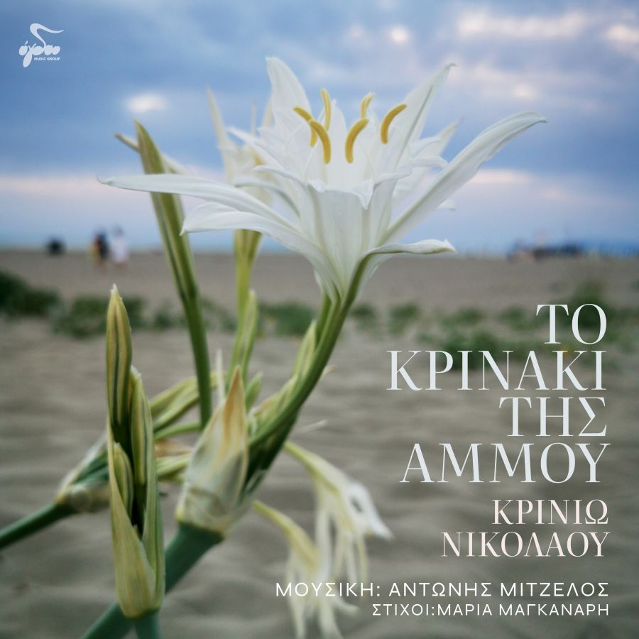 Krinio Nikolaoy-To krinaki tis ammoy