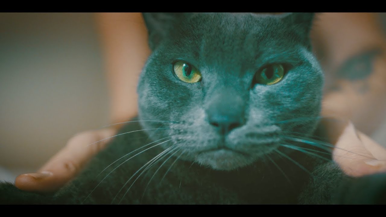 Goin’Through “Bellagio” | Video Premiere Goin’Through “Bellagio” | Video Premiere