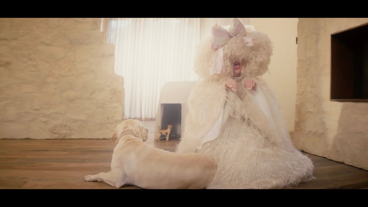 Η Sia κυκλοφορεί το νέο της music video για το single “Gimme Love” Η Sia κυκλοφορεί το νέο της music video για το single “Gimme Love”