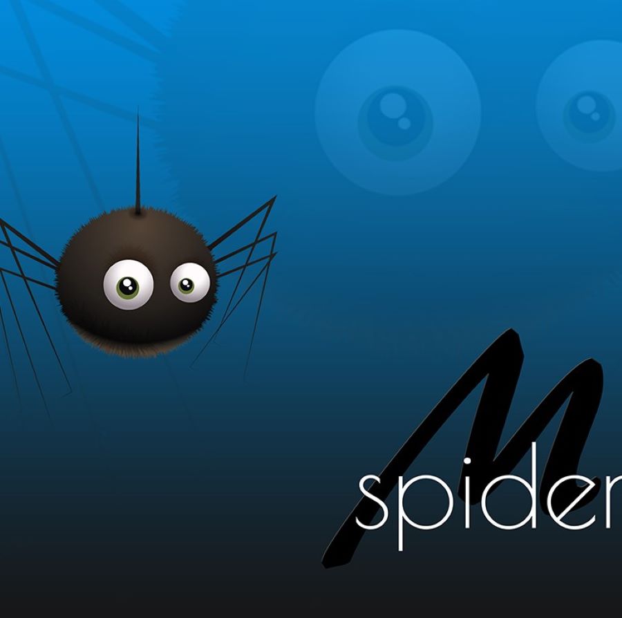 Spider Music