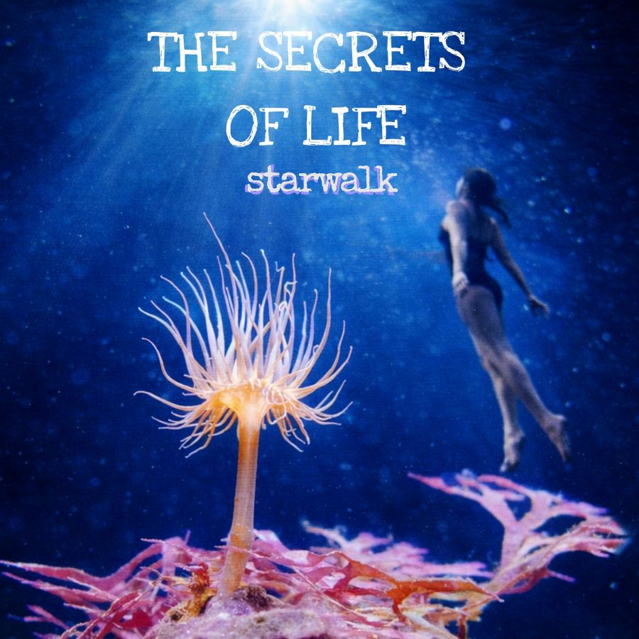 Starwalk “The Secrets of Life”| Ένα “κινηματογραφικό” ηλεκτρονικό ταξίδι με nuevo-tango επιρροές Starwalk-The Secrets of Life