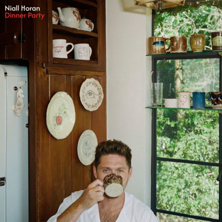 Niall-Horan-Dinner-Party