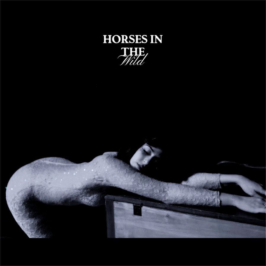 Vasilikí-Horses in The Wild