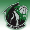 Kopanik Brus