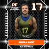 Gajić Nikola