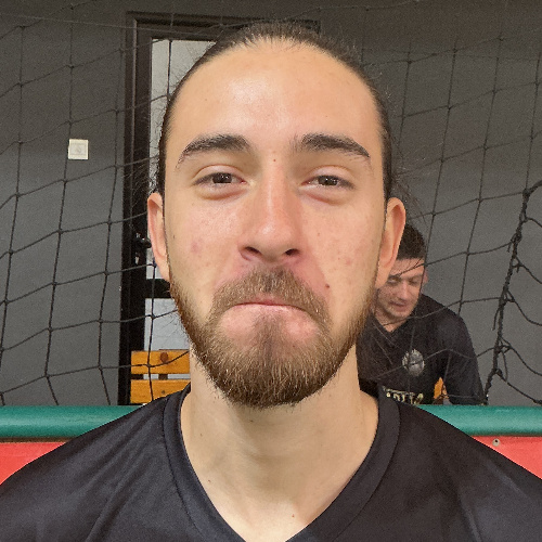 Simic Luka