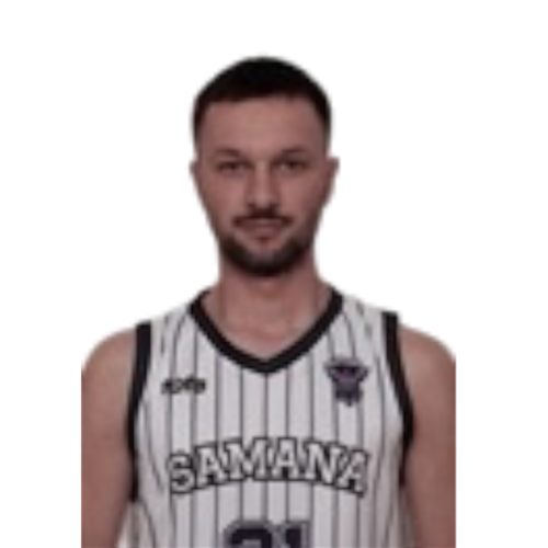 Plytnikas Arnas