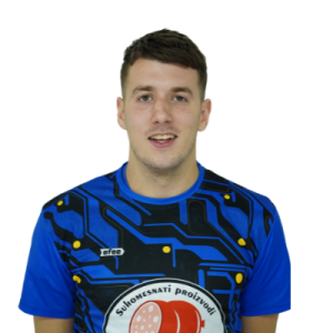 Bogojević Luka