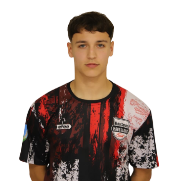 Nedeljković Mihailo