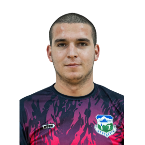 Nikolić Čedomir