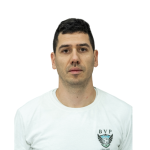 Lučić Nemanja