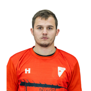 Radosavljević Dejan