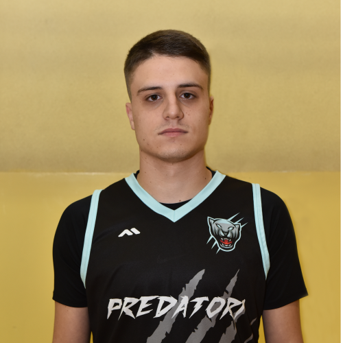 Andrija Radojevic