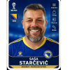 Sasa Starcevic