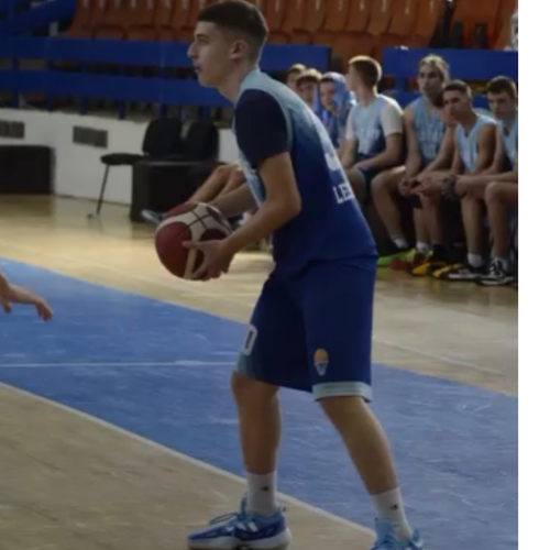 Vladimir Zlatkovic