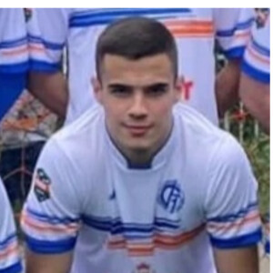 Tomišić Milan