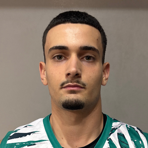 Minić Kosta