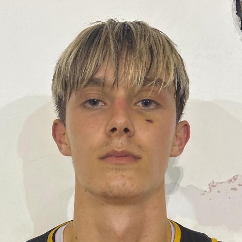 Jelisavac Damjan