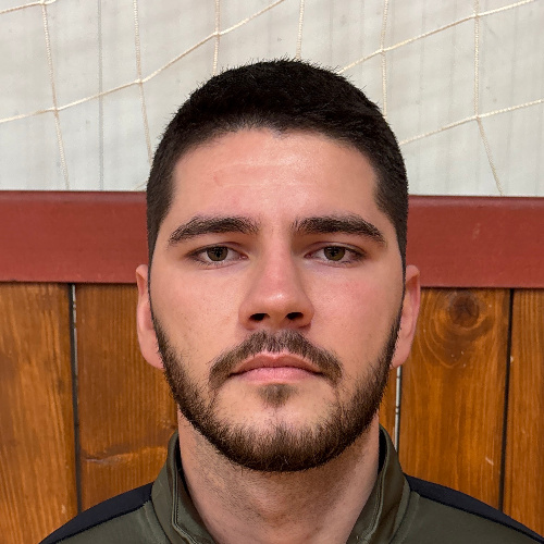 Anicic Vladimir