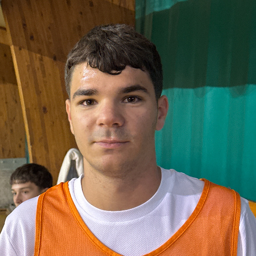 Vujović Luka