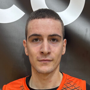 Simić Dalibor