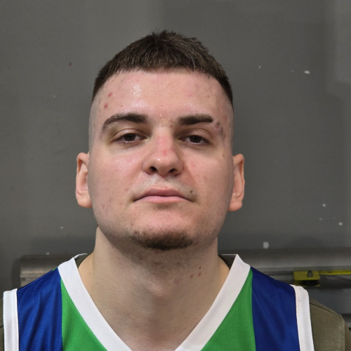 Gacic Mihailo