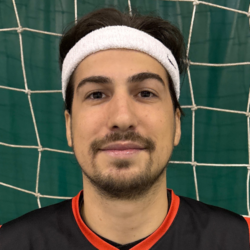 Pavlović Nikola