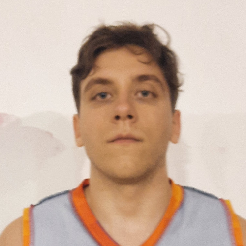 Mitrović Vukašin