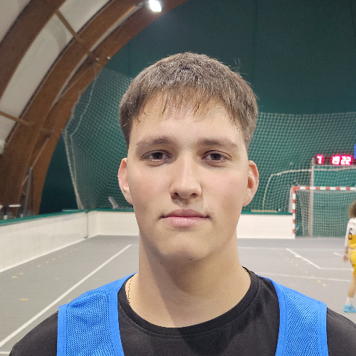 Pavlović Vuk