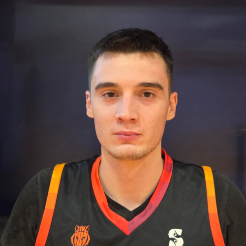 Pavlović Luka