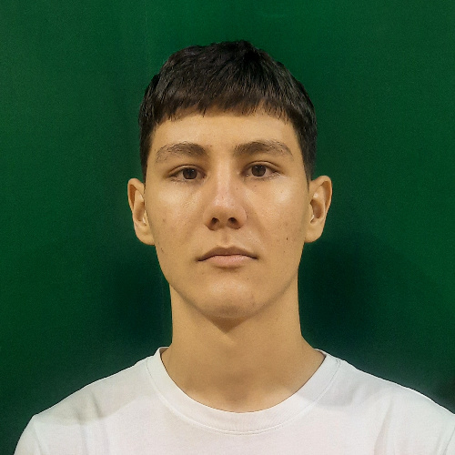 Mitrović Luka
