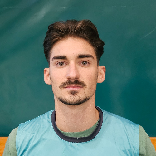 Panić Rastko