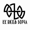 KK Vizelj