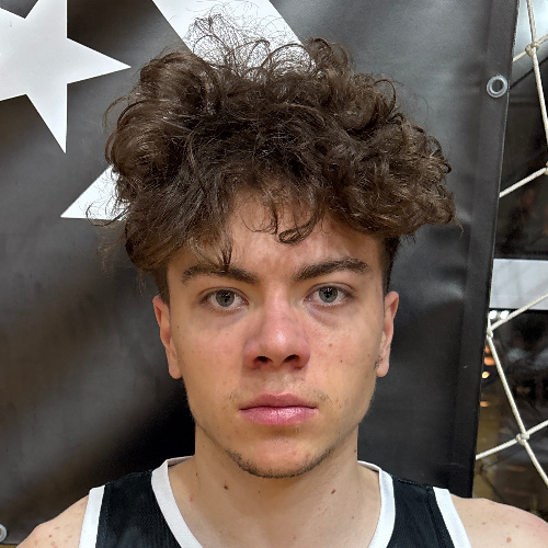 Pavlović Aleksandar