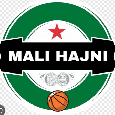 Mali Hajni