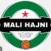 Mali Hajni