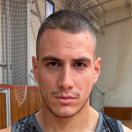 Stanaćev Vukašin