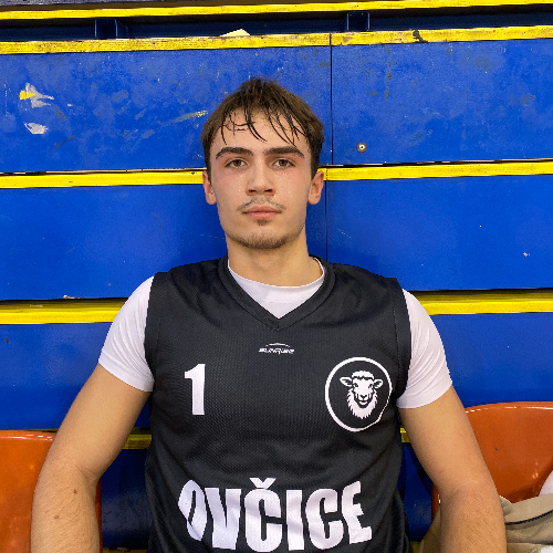 Srdanovic Damjan